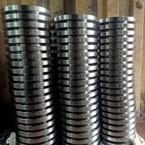 8 Inch, RF, Stainless Steel Male And Female Flanges